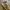 Japanese brand Vintage Avant Garde Track jacket Pria khaki photo 6