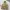 Japanese Brand Vintage Avant Garde Track Jacket Pria Khaki