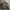 Burberry Vintage Luxury Harrington jacket Pria gold tan photo 3