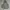 ZARA Luxury Futurist Hoody Pria Multicolor Gray