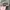 Y2K Grunge Hat Pria tan gray photo 2