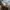 Adidas Streetwear Casual Sneakers Pria white tan photo 7