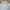 Nike Vintage Streetwear Windbreaker Pria gray photo 6