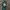 Y2K Futurist Wanita green black photo 1