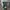 Y2K Futurist Wanita green black photo 4