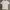 Carhartt Streetwear T-shirt Pria White