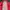 Sportswear Windbreaker Wanita red photo 2