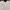 Streetwear Futurist Formal shirt Pria white photo 1