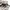 Kangol Luxury Casual Casual shirt Pria tan black photo 5