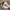 Nike Streetwear Sneakers Pria white photo 2