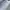 VANS Streetwear Sneakers Pria white photo 2