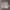 Casual Harrington jacket Pria tan photo 1