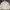 G2000 Casual Harrington jacket Pria gray photo 1