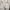 G2000 Casual Harrington jacket Pria gray photo 3