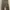 ZARA Luxury Culotte Wanita multicolor photo 2