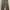 ZARA Luxury Culotte Wanita multicolor photo 1