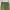 Uniform Bridge Y2K Casual pants Pria green photo 8