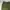 Uniform Bridge Y2K Casual pants Pria green photo 5