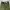 Uniform Bridge Y2K Casual pants Pria green photo 2