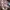 Gucci Vintage Luxury Handbag Wanita brown photo 4