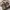 Gucci Vintage Luxury Handbag Wanita brown photo 1