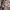 Gucci Vintage Luxury Handbag Wanita brown photo 7