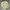 L.L.Bean Vintage Casual Harrington jacket Pria cream photo 8