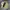 L.L.Bean Vintage Casual Harrington jacket Pria cream photo 4