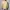 L.L.Bean Vintage Casual Harrington jacket Pria cream photo 3