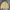 L.L.Bean Vintage Casual Harrington jacket Pria cream photo 1