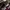 Puma Streetwear Sneakers Pria brown photo 1