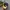 Von Dutch Vintage Streetwear Hat Pria navy yellow photo 4
