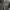 Under Armour Sportswear Polo shirt Pria gray photo 2