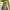 Y2K Shirt Wanita green photo 1