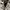 Pull & Bear Streetwear Leather jacket Pria tan cream photo 7