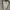 Pull & Bear Streetwear Leather jacket Pria tan cream photo 3