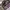 VANS Streetwear Sneakers Pria multicolor photo 3