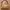 Prada Cottagecore Coquette Bags & Purse Wanita Tan Brown