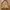 Prada Cottagecore Coquette Bags & Purse Wanita Tan Brown