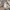 Uniqlo Casual Windbreaker Pria multicolor gray photo 4