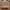 Coach Luxury Minimalist Bags & Purse Wanita Tan Brown