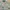 Grunge Emo Sweatshirt Pria green photo 1