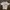 Japanese brand Vintage Y2K T-shirt Pria white gray photo 1