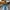 Vintage Y2K Jeans Pria white blue photo 3