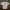 Japanese brand Vintage Y2K T-shirt Pria white photo 4
