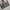 Vintage Y2K Jeans Pria gray photo 4