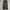 Uniqlo Vintage Y2K Jeans Pria black photo 1