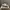 Yeezy Streetwear Sportswear Sneakers Pria white gray photo 4