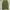 Uniqlo Vintage Y2K Jeans Pria green photo 3