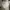 Dickies Vintage Y2K Short Pria white photo 4